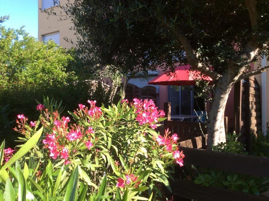 Cap Agde Studio-Cabine Jardin Clos, Port Et Plage Екстериор снимка